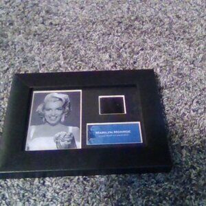 filmcell framed art work minicell